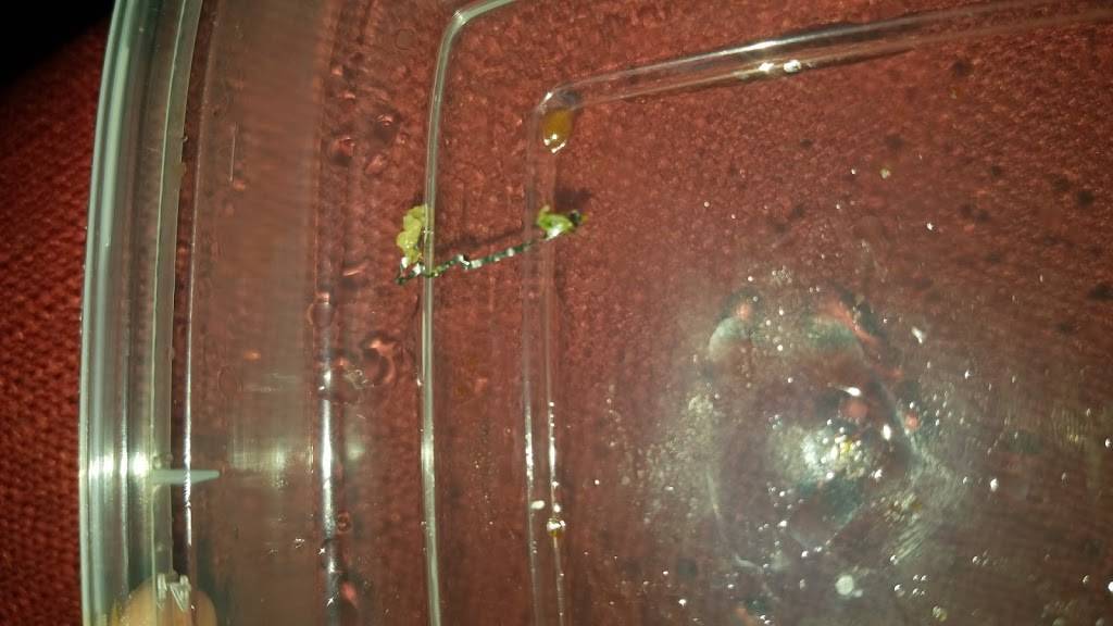 China Panda | meal takeaway | 6421 Rising Sun Ave, Philadelphia, PA 19111, USA | 2153427298 OR +1 215-342-7298