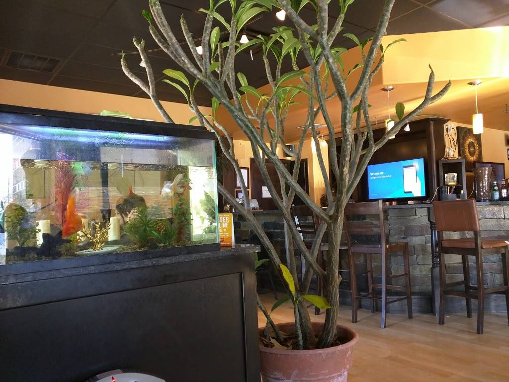 Pad Thai | restaurant | 4858, 119 W Boyd St, Norman, OK 73069, USA | 4053605551 OR +1 405-360-5551