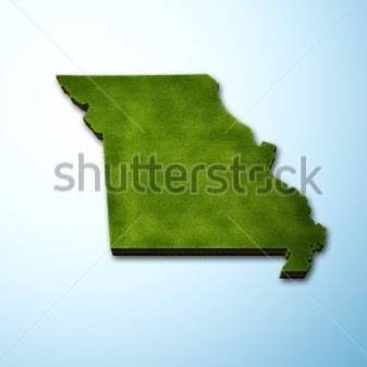 Custom Home Service For Missouri | restaurant | 30 S Grand Blvd, St. Louis, MO 63103, USA | 2124565456 OR +1 212-456-5456