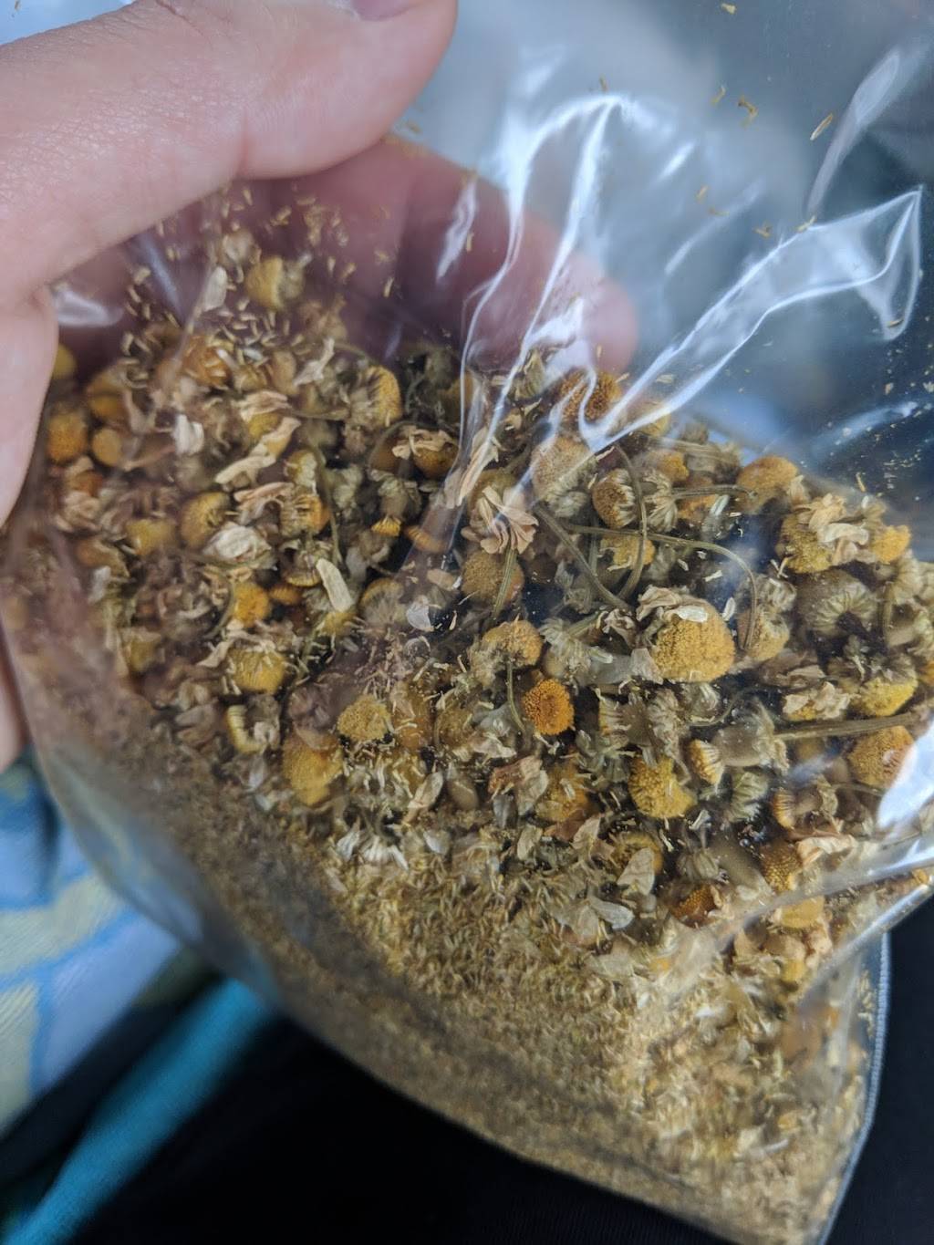 Connoisseur Coffee Company | restaurant | 2801 Middlefield Rd, Redwood City, CA 94063, USA | 6503695250 OR +1 650-369-5250