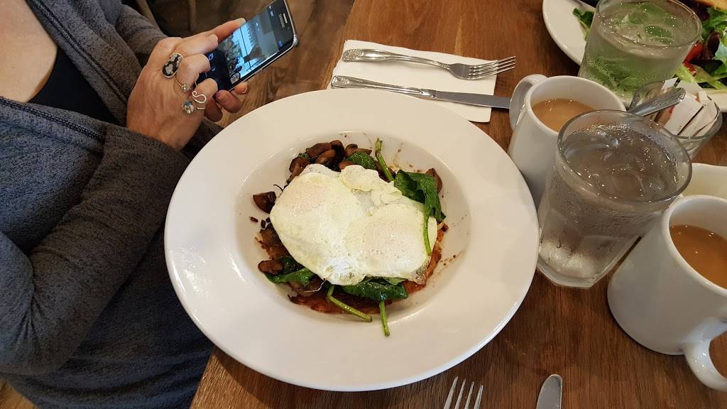 Tucker & Bevvy Breakfast | restaurant | 449 Kapahulu Ave, Honolulu, HI 96815, USA | 8087320050 OR +1 808-732-0050