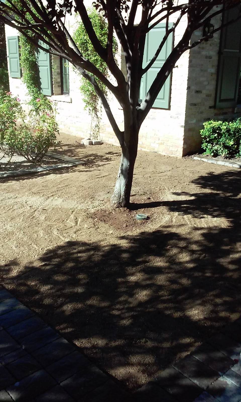 JG Steakhouse | restaurant | 6000 E Camelback Rd, Scottsdale, AZ 85251, USA | 4809418200 OR +1 480-941-8200