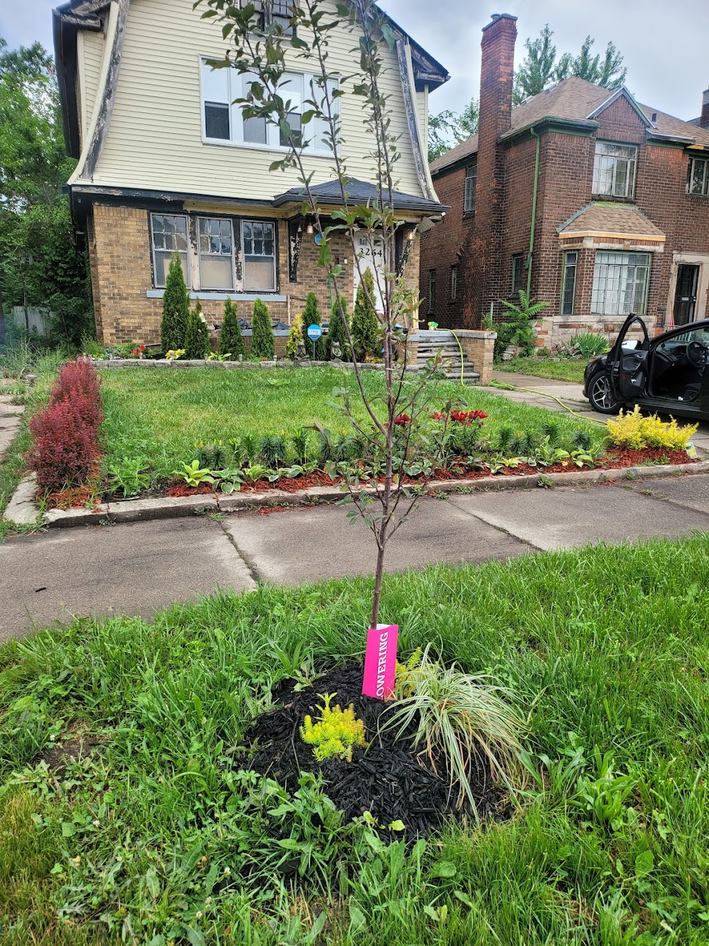 Grandma Told Me So Eatery | restaurant | 3264 Tyler St, Detroit, MI 48238, USA | 9176769363 OR +1 917-676-9363