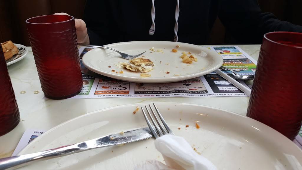 Palmer Diner | restaurant | 2913 Old Nazareth Rd, Easton, PA 18045, USA | 6102520164 OR +1 610-252-0164