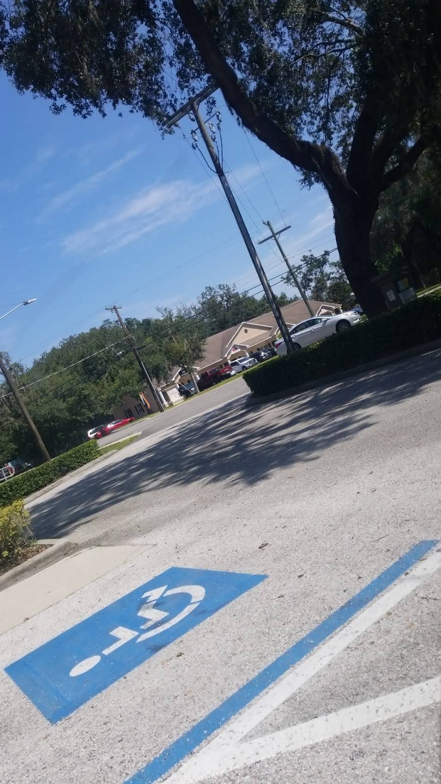 Subway Restaurants | restaurant | 3208 Lithia Pinecrest Rd, Valrico, FL 33596, USA | 8136626697 OR +1 813-662-6697