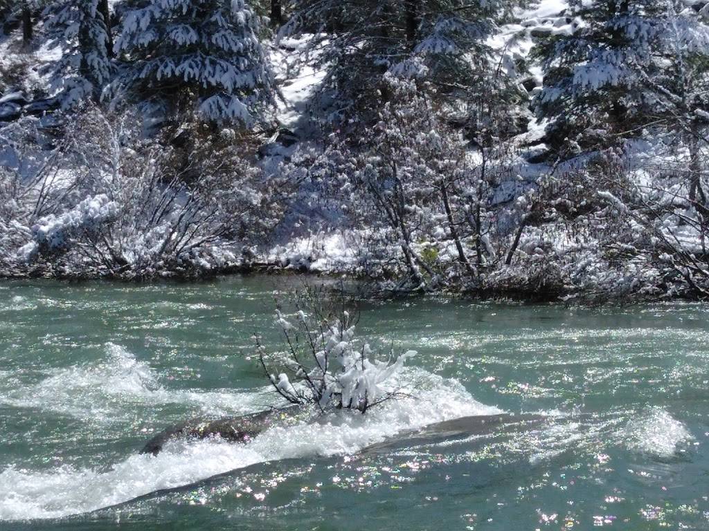 Pillulles Taquizas Mexicanas en Truckee CA, Renta de Brinca Brin | restaurant | 11223 Village Way, Truckee, CA 96161, USA | 5302086459 OR +1 530-208-6459