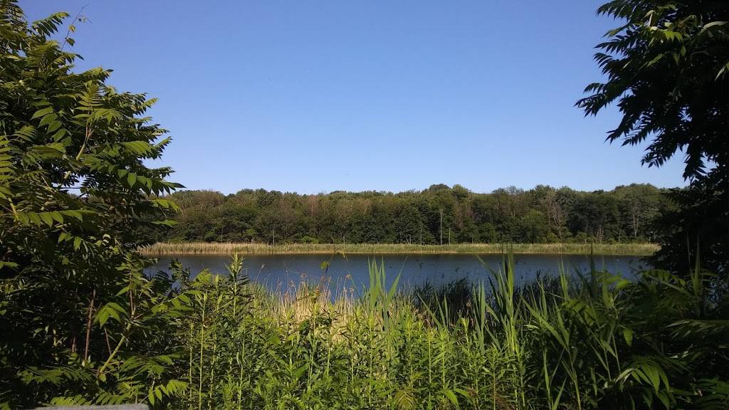 Strøm Spa Nordique | restaurant | 1001 Boulevard de la Forêt, Verdun, QC H3E 1X9, Canada | 5147612772 OR +1 514-761-2772