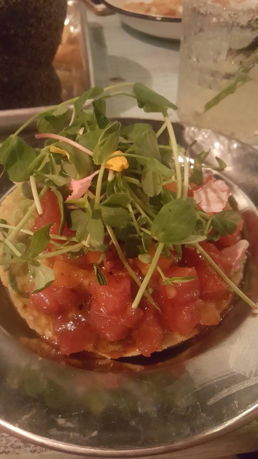 Playa Cabana La Libre | restaurant | 14 Dupont St, Toronto, ON M5R 1V2, Canada | 6473526030 OR +1 647-352-6030