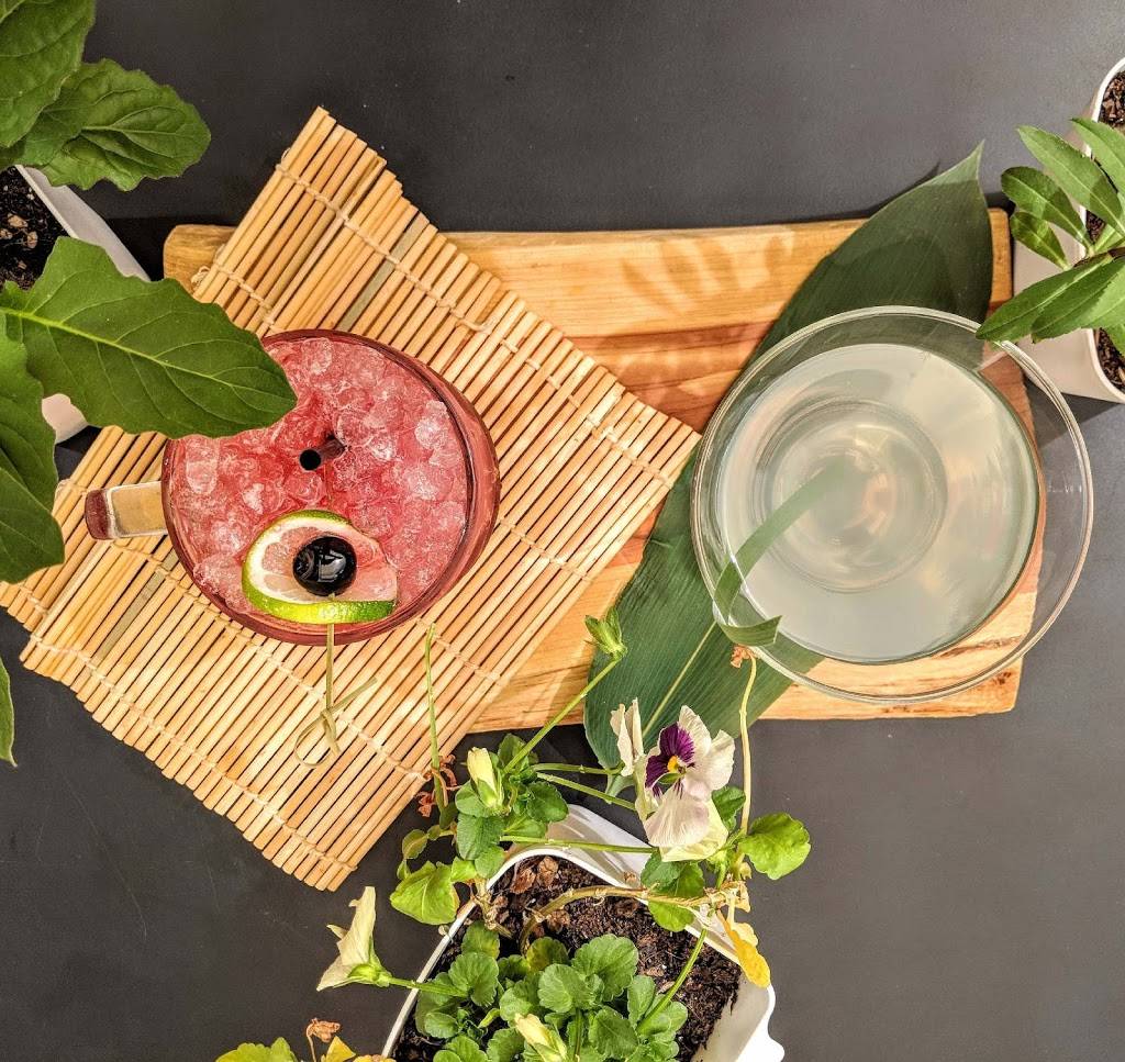 Komodo Loco | restaurant | 109 Oakland St, Denton, TX 76201, USA | 9408080400 OR +1 940-808-0400