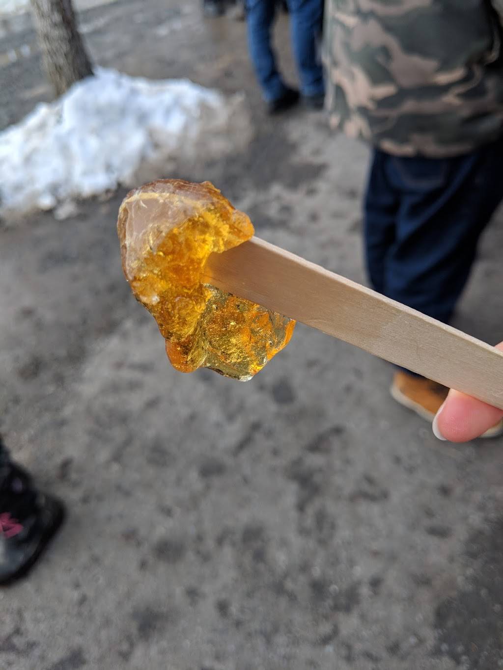 Érablière Réal Bruneau | restaurant | 1324-1410 Route Bégin, Saint-Anselme, QC G0R 2N0, Canada | 4188820630 OR +1 418-882-0630