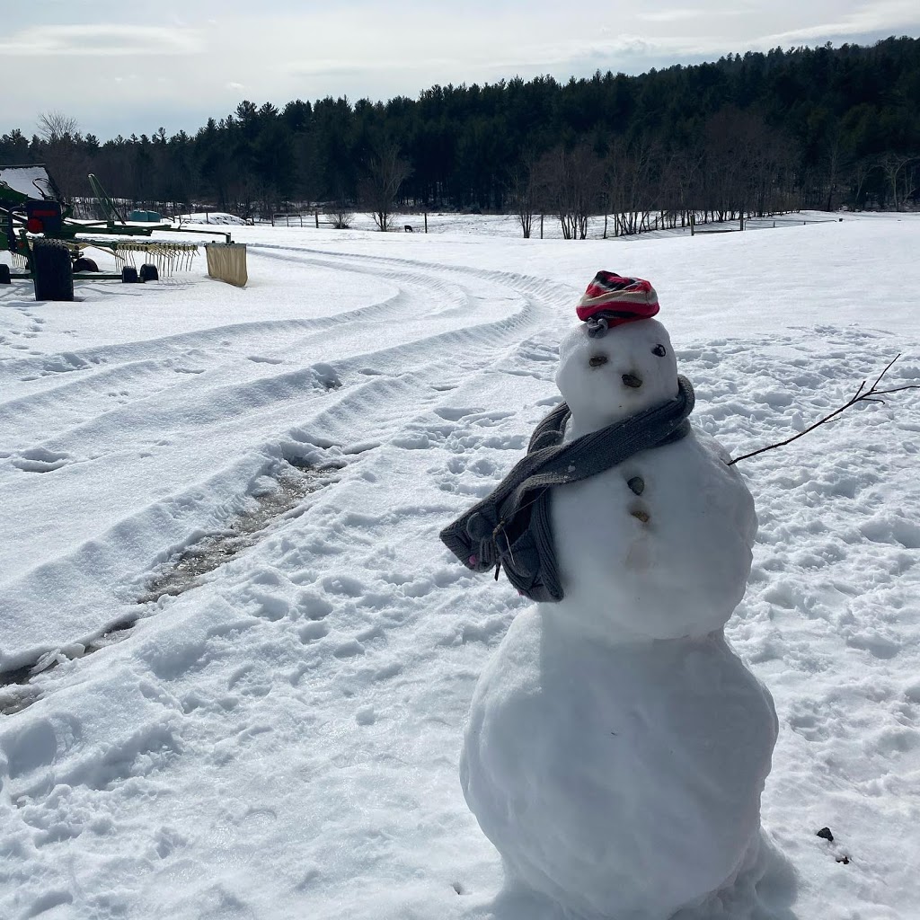 Farmer Matt | meal takeaway | 860 W Brookfield Rd, New Braintree, MA 01531, USA | 4135753726 OR +1 413-575-3726