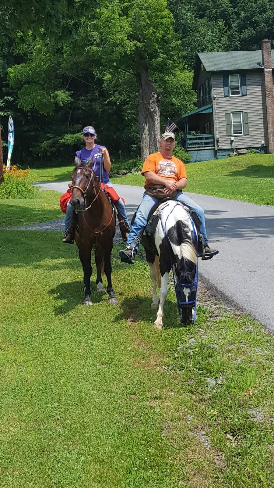 Old Bull Cafe | restaurant | 55 Church Street, Benezette, PA 15821, USA | 8147877545 OR +1 814-787-7545