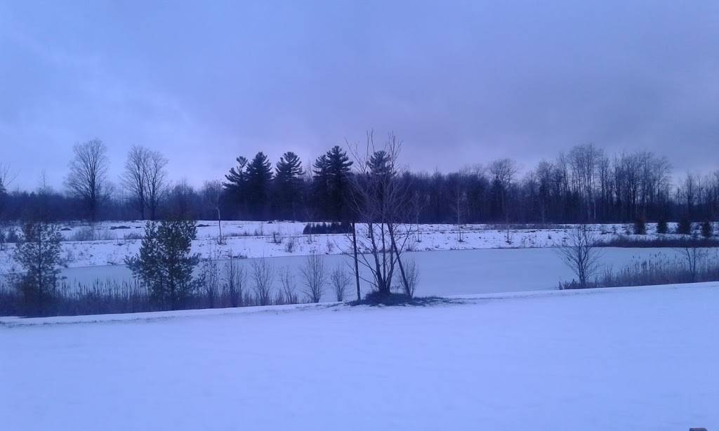 Fantastic Pizza | restaurant | 213 The Queensway S, Keswick, ON L4P 3C8, Canada | 9054762241 OR +1 905-476-2241