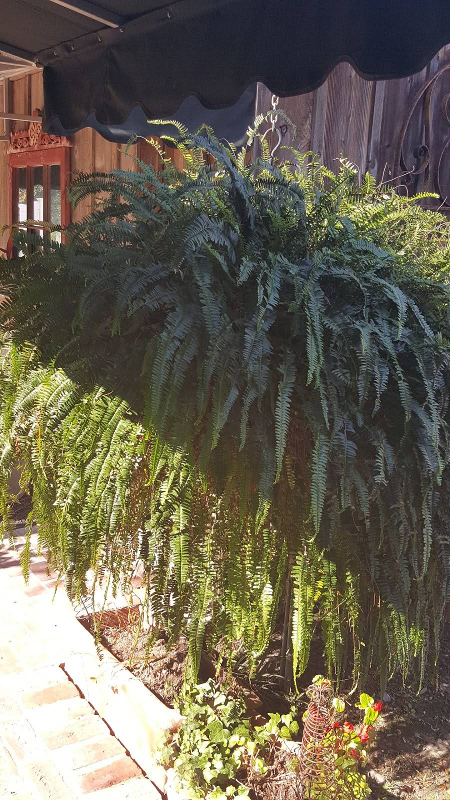 Antique Rose Ville | restaurant | 2007 Freyou Rd, New Iberia, LA 70560, USA | 3373673000 OR +1 337-367-3000