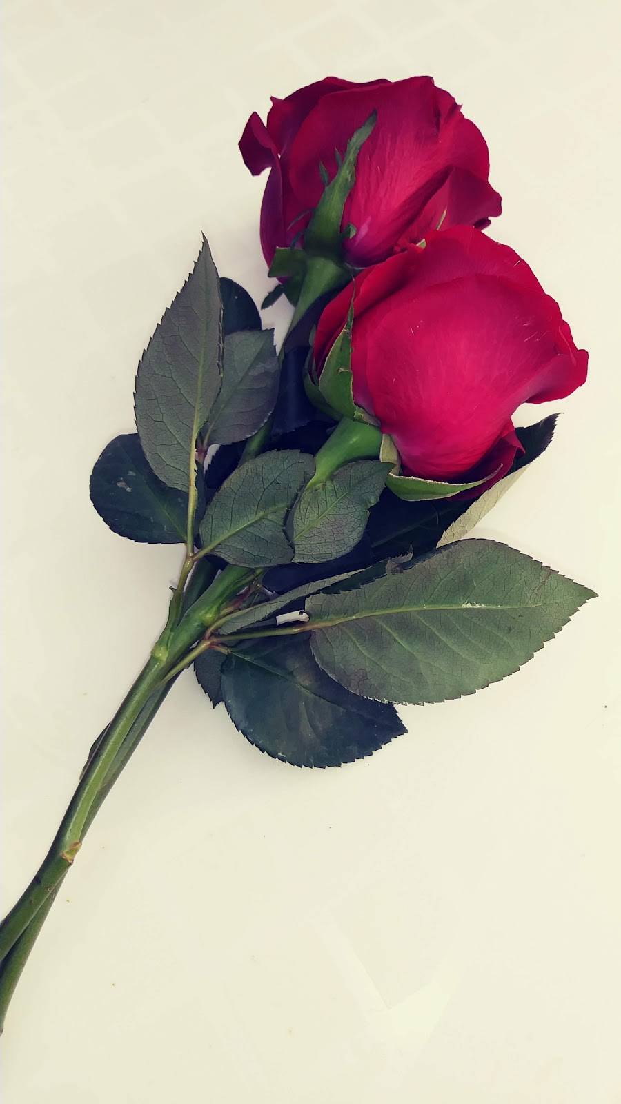 The Deck Bar & Grille | restaurant | 5901 Sun Blvd #100, St. Petersburg, FL 33715, USA | 7272899855 OR +1 727-289-9855