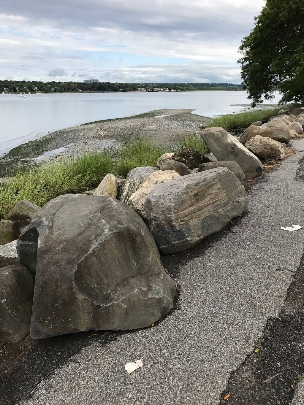 Bayside Marina | meal takeaway | 28-05 Cross Island Pkwy, Bayside, NY 11360, USA | 7182290097 OR +1 718-229-0097