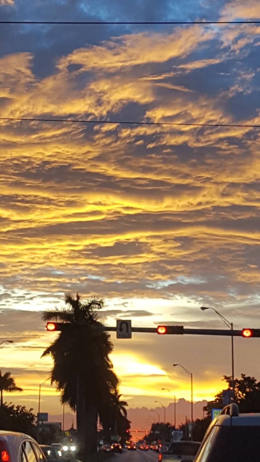 3 Chefs and a Chicken | meal takeaway | 8195 SW 40th St, Miami, FL 33155, USA | 3052673011 OR +1 305-267-3011