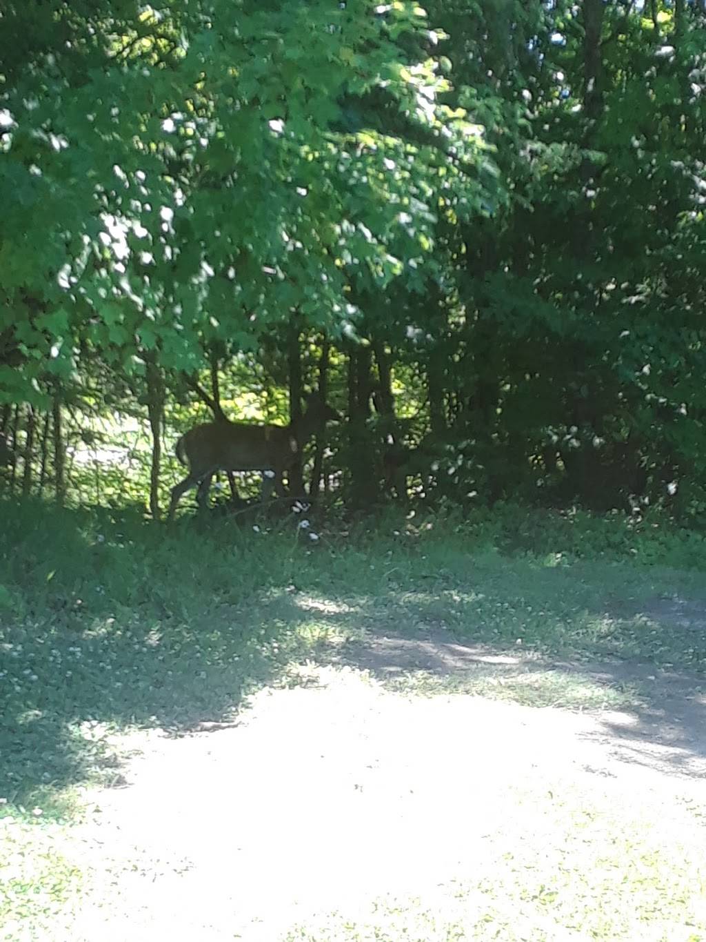 Golf Mont Cascades | restaurant | 915 Chemin du Mont-des-Cascades, Cantley, QC J8V 3B2, Canada | 8194592980 OR +1 819-459-2980