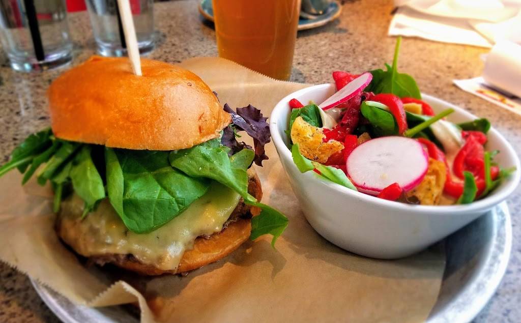 Lazy Dog Restaurant & Bar | restaurant | 8401 Preston Rd, Plano, TX 75024, USA | 4696091570 OR +1 469-609-1570