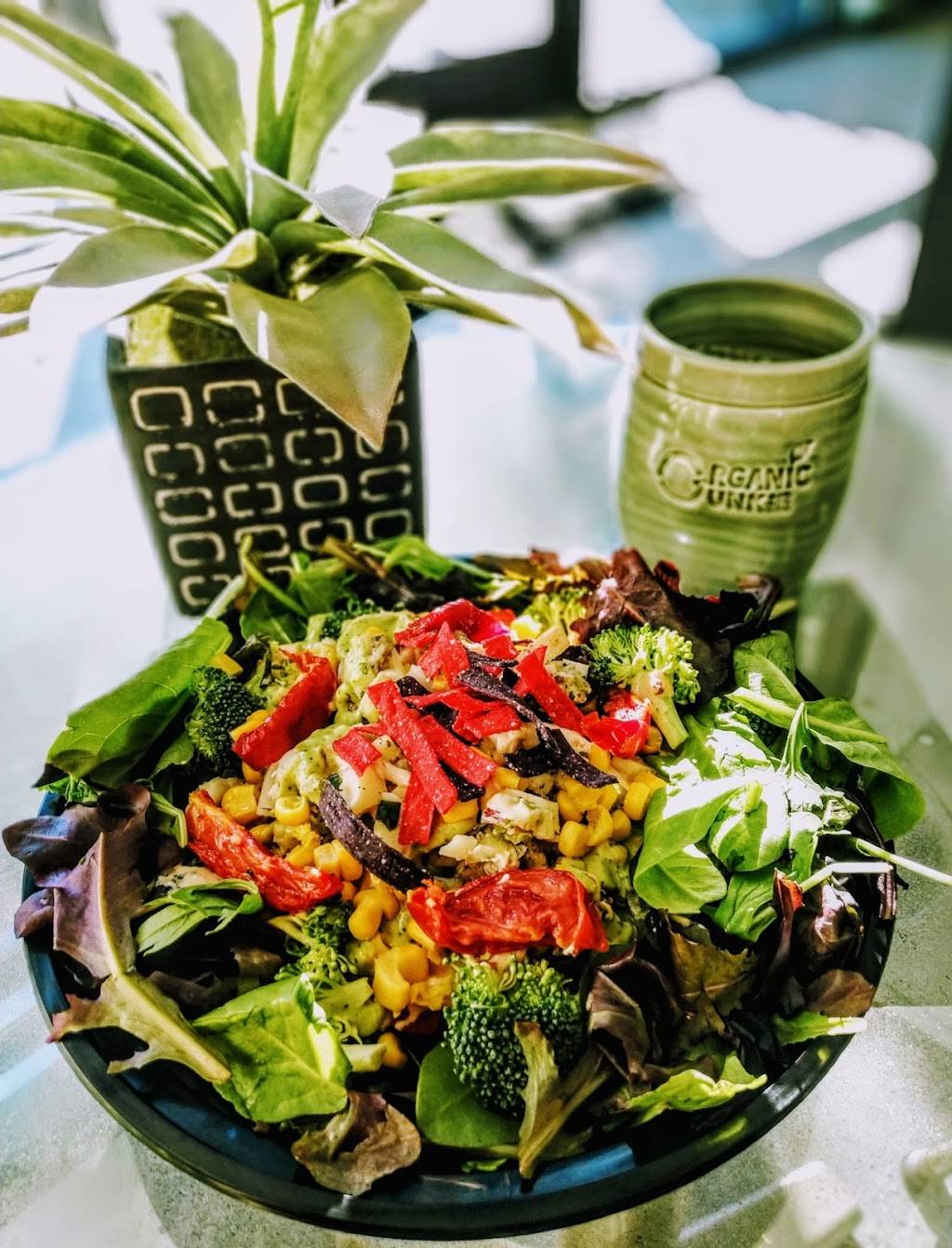 Organic Junkie | restaurant | 420 N Main St #109, Corona, CA 92880, USA | 9514757578 OR +1 951-475-7578