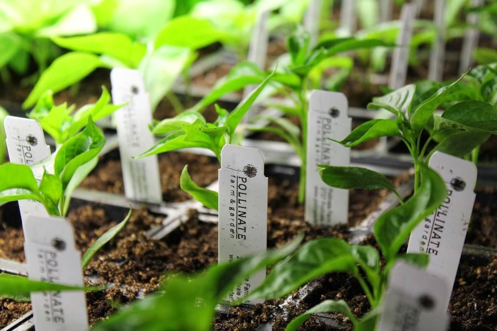 Pollinate Farm & Garden | restaurant | 2727 Fruitvale Ave, Oakland, CA 94601, USA | 5106863493 OR +1 510-686-3493