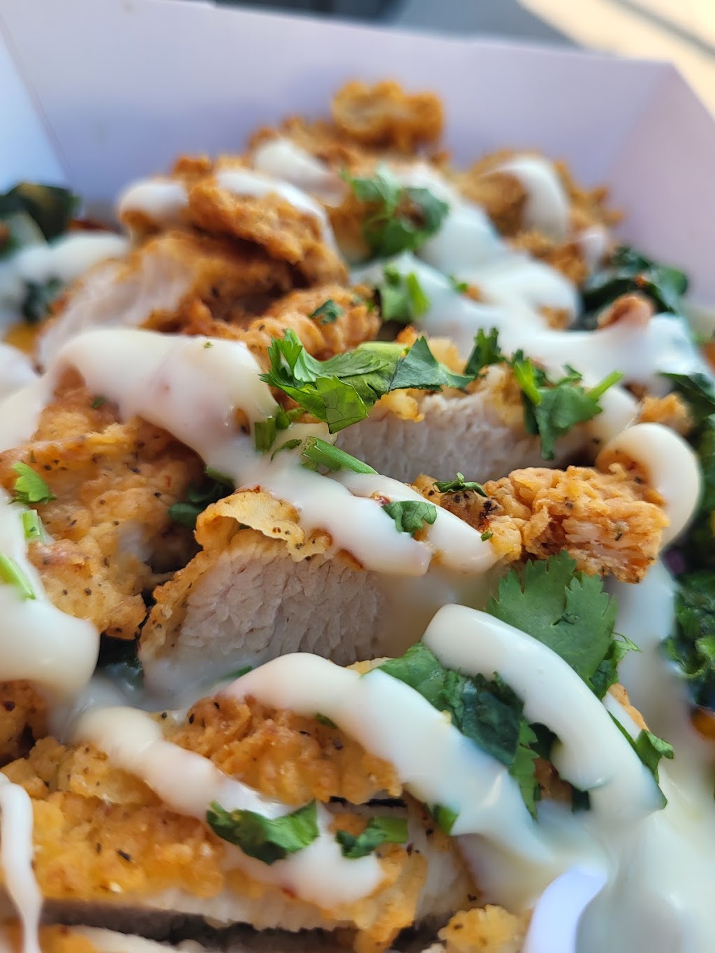 Homies (Food Truck) | restaurant | 2601 Travis St, Houston, TX 77006, USA | 8328818828 OR +1 832-881-8828