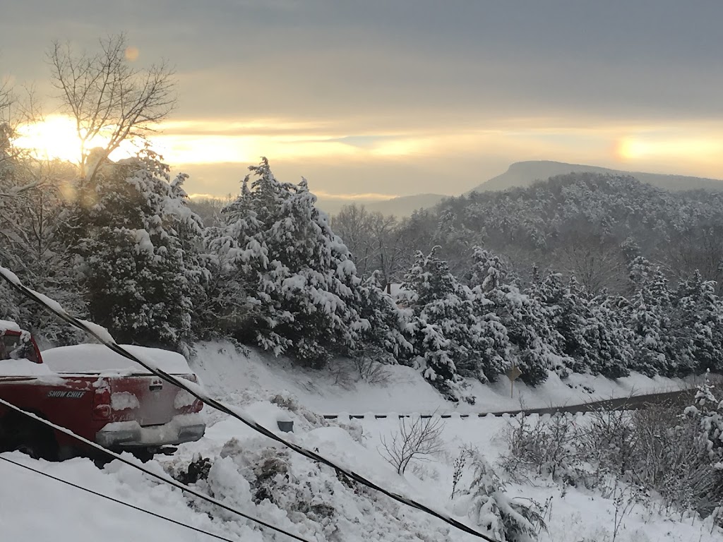 Castile Market | restaurant | 4200 Potts Creek Rd, Covington, VA 24426, USA | 5407473663 OR +1 540-747-3663