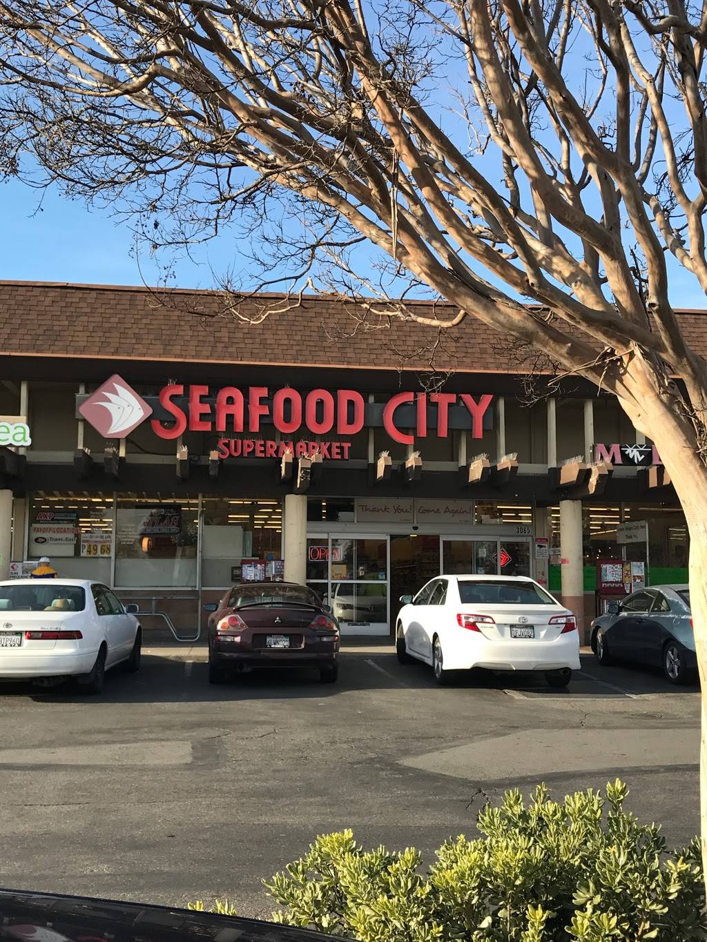 Seafood City Supermarket | bakery | 3065 McKee Rd, San Jose, CA 95127, USA | 4082404980 OR +1 408-240-4980