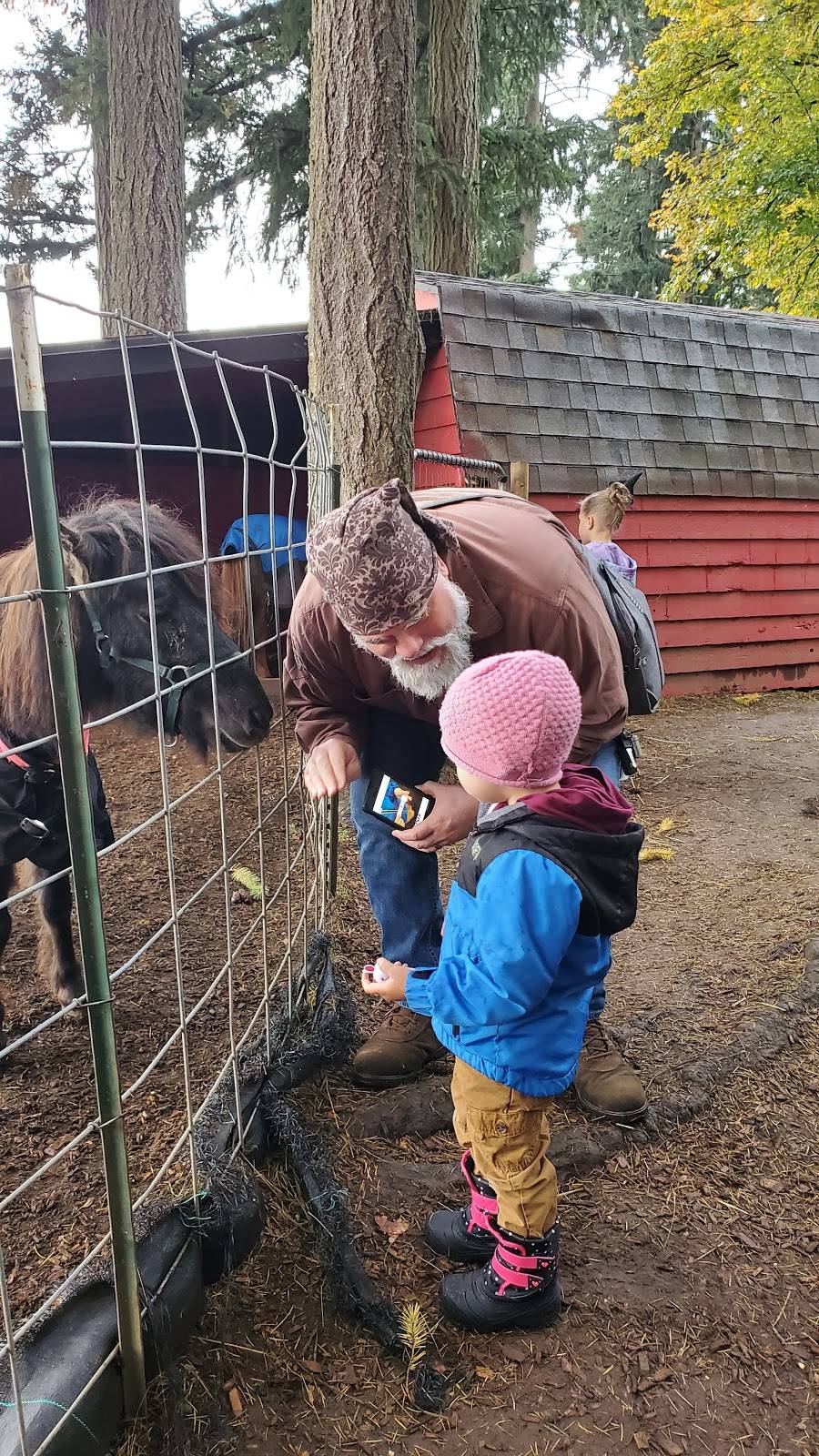 Fir Point Farms | bakery | 14601 Arndt Rd, Aurora, OR 97002, USA | 5036782455 OR +1 503-678-2455