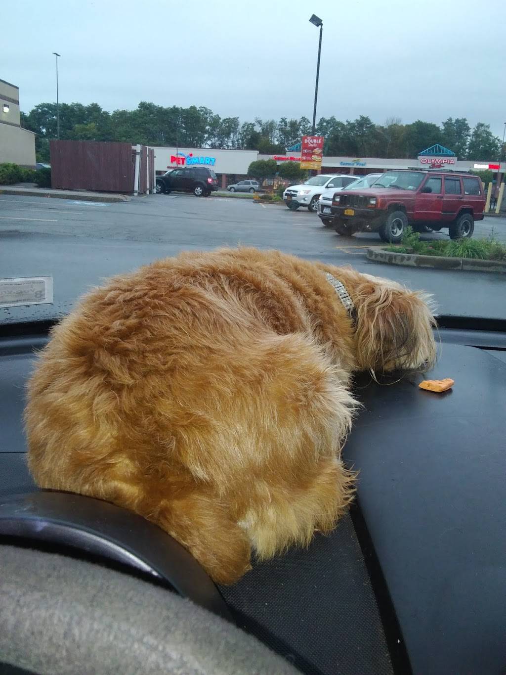 Tim Hortons | restaurant | 277 E Fairmount Ave, Lakewood, NY 14750, USA | 7167630655 OR +1 716-763-0655