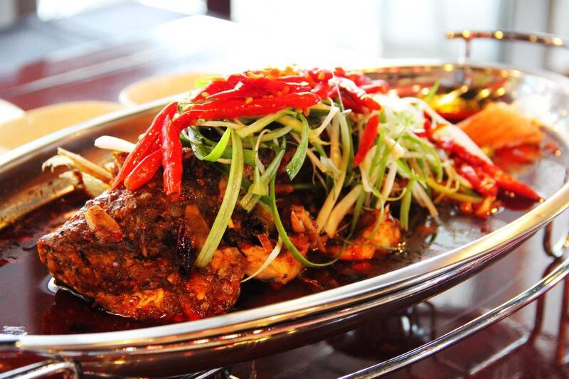 Mala Tang | restaurant | 3434 Washington Blvd, Arlington, VA 22201, USA | 7032432381 OR +1 703-243-2381