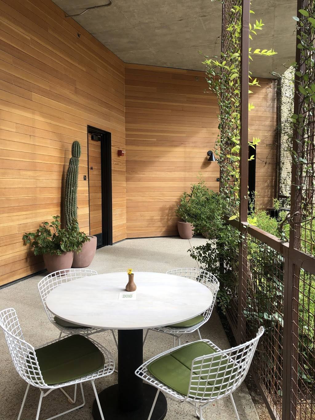 Summer House on Music Lane | restaurant | 1101 Music Ln, Austin, TX 78704, USA | 5124425341 OR +1 512-442-5341