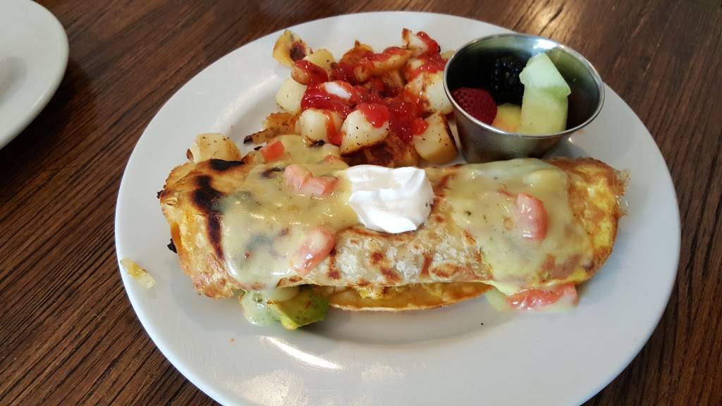 First Watch - Carrollwood | restaurant | 13186 N Dale Mabry Hwy, Tampa, FL 33618, USA | 8139614947 OR +1 813-961-4947