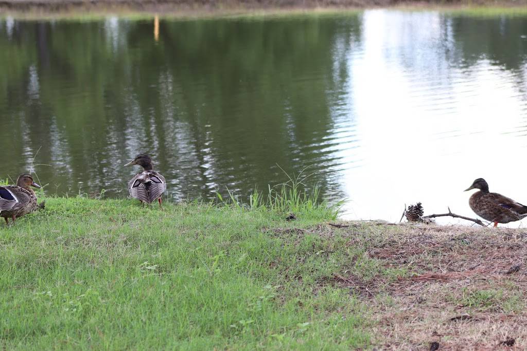 Meadowbrook Country Club | restaurant | 1250 W Broadway Ave, West Memphis, AR 72301, USA | 8704008170 OR +1 870-400-8170