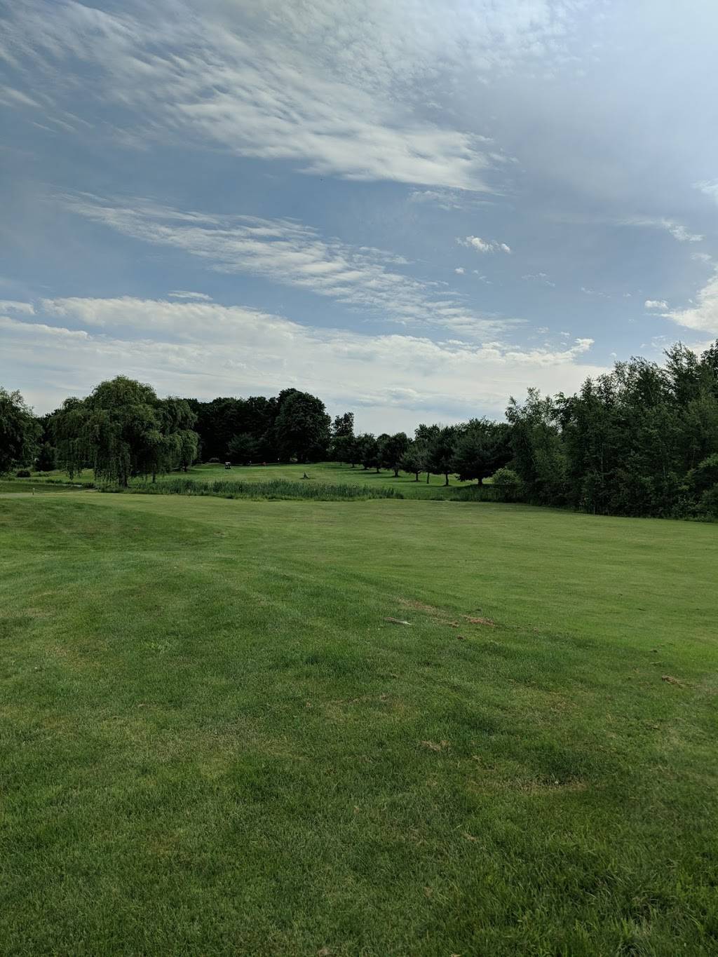 Turtle Creek Golf Course at Garden Cathay | restaurant | 219 Plattekill Ardonia Rd, Wallkill, NY 12589, USA | 8455643220 OR +1 845-564-3220