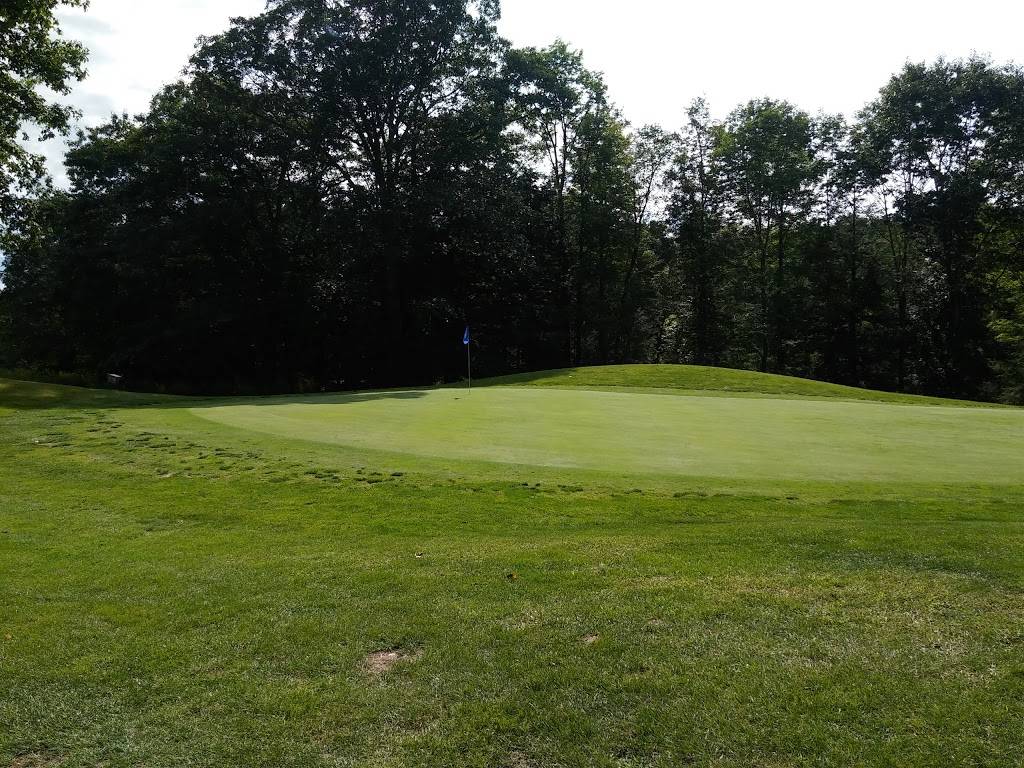 Endwell Greens Golf Course and Event Center | restaurant | 3675 Sally Piper Rd, Endwell, NY 13760, USA | 6077854653 OR +1 607-785-4653