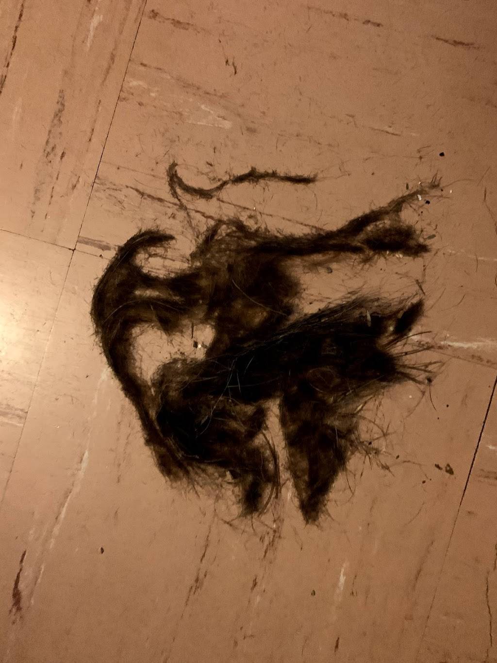 Mama Yolanda’s Gourmet Lasagna | meal takeaway | 60 Harlowe Rd Unit #10, Hamilton, ON L8W 3R6, Canada | 9056450447 OR +1 905-645-0447