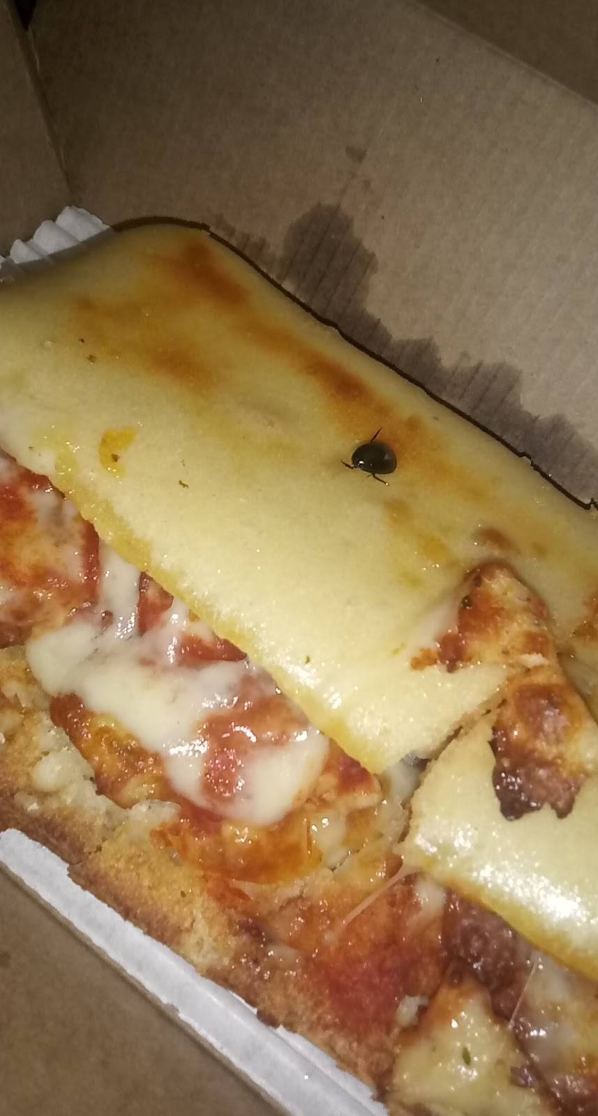 Dominos Pizza | meal delivery | 1009 W Wisconsin St, Sparta, WI 54656, USA | 6082693333 OR +1 608-269-3333