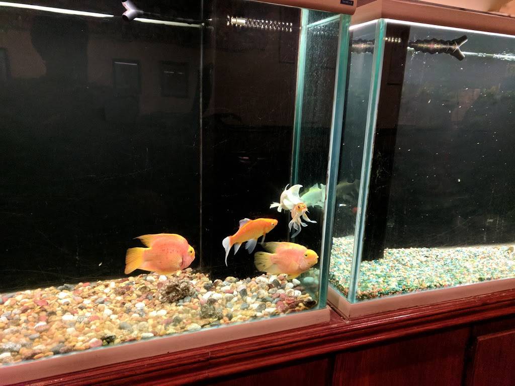 Mandarin House | restaurant | 314 Merchant Dr, Knoxville, TN 37912, USA | 8656894800 OR +1 865-689-4800