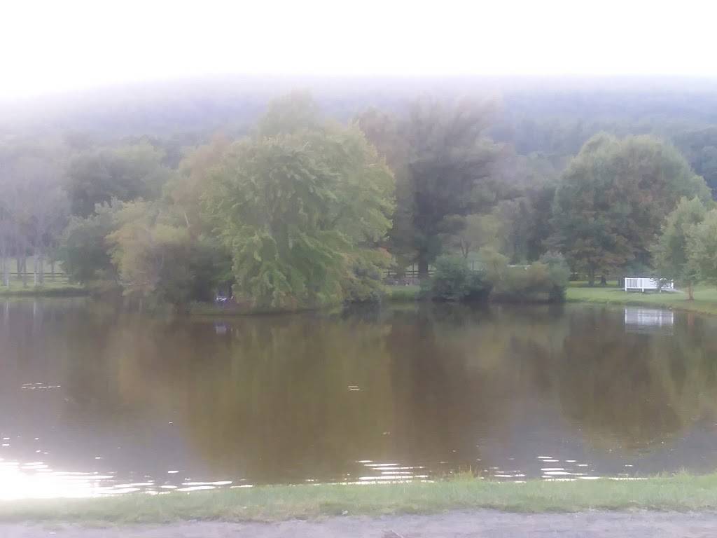 Dunkin Donuts | cafe | 20789 Great Falls Plaza, Sterling, VA 20165, USA | 7034443500 OR +1 703-444-3500