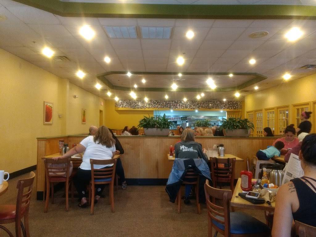 First Watch - Countryside Village Square | restaurant | 2569 Countryside Blvd, Clearwater, FL 33761, USA | 7277128769 OR +1 727-712-8769