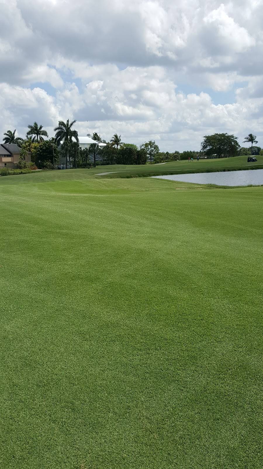 Dunes Golf & Tennis Club | restaurant | 949 Sand Castle Rd, Sanibel, FL 33957, USA | 2394722535 OR +1 239-472-2535