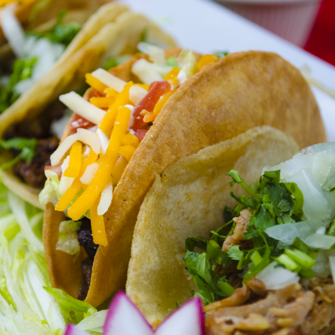 El Coyote Club | restaurant | 5748 Washington St, Hollywood, FL 33023, USA | 7542637797 OR +1 754-263-7797