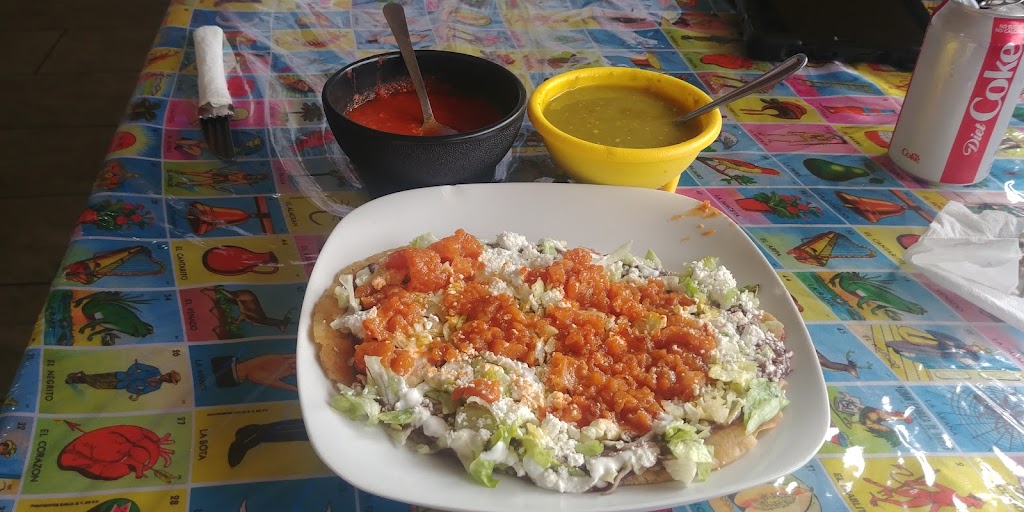 El Amigo Seafood Restaurant | restaurant | 3955 Old Hwy 77, Brownsville, TX 78521, USA | 9569832669 OR +1 956-983-2669