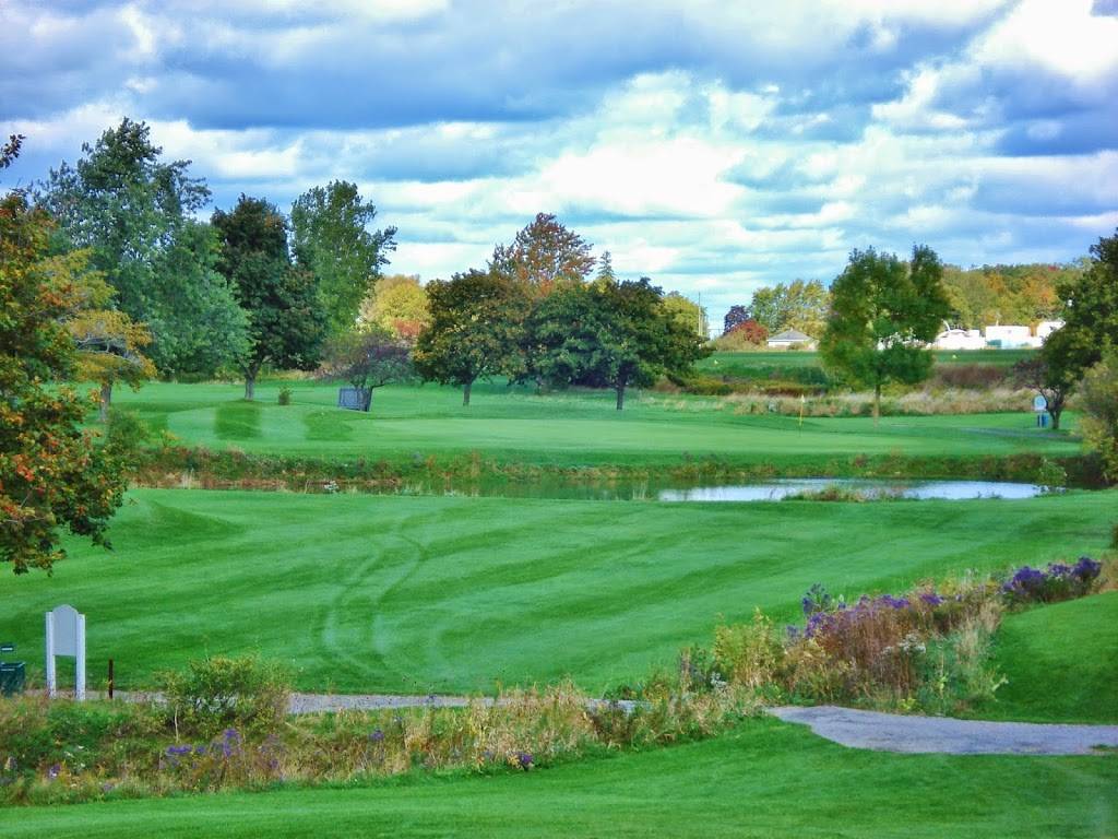 Southern Pines Golf & Country Club | meal takeaway | 8453 Airport Rd E, Mount Hope, ON L0R 1W0, Canada | 9056796308 OR +1 905-679-6308