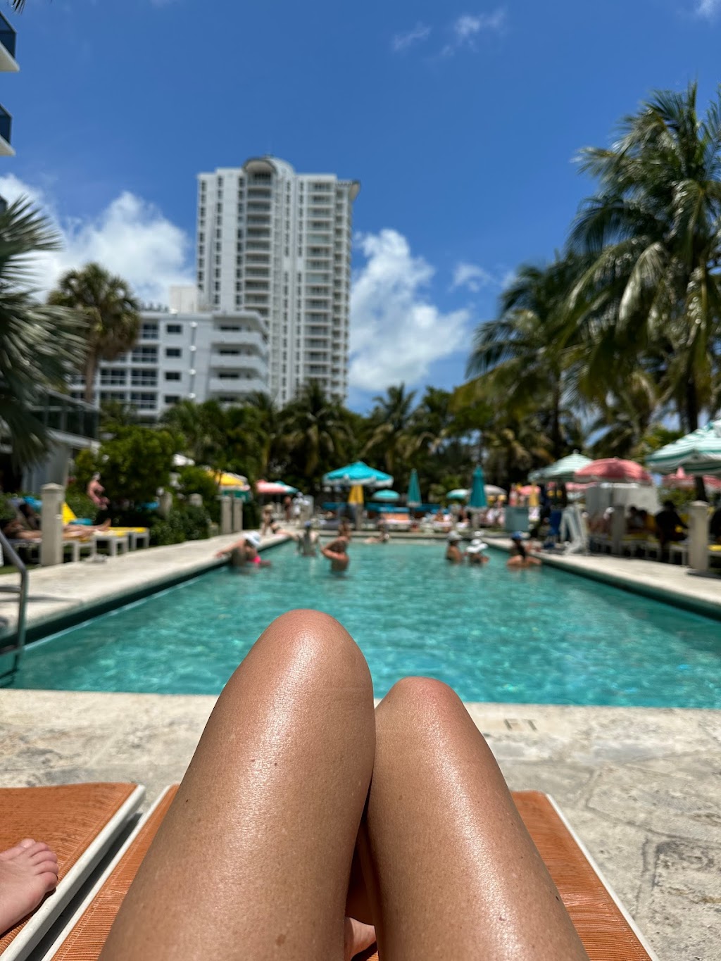 The Lounge at The Confidante | restaurant | 4041 Collins Ave, Miami Beach, FL 33140, USA | 8338164530 OR +1 833-816-4530