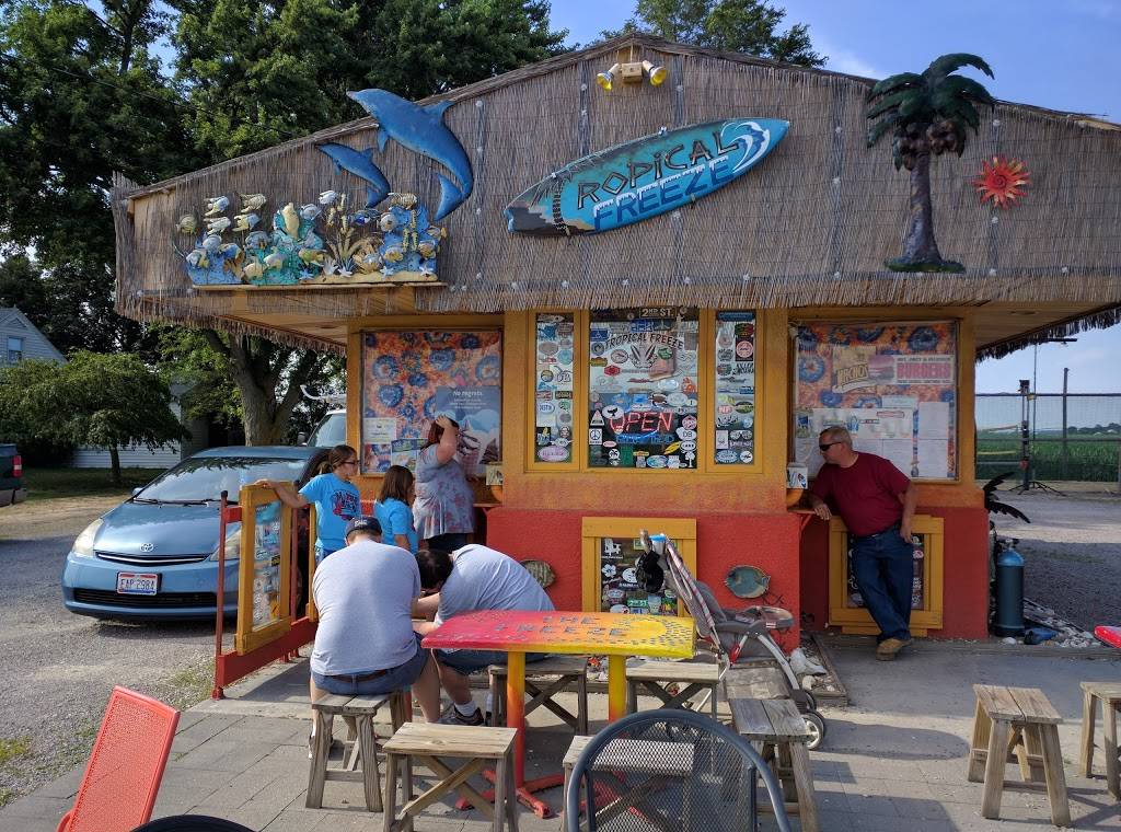 Tropical Freeze | restaurant | 21302 OH-34, Napoleon, OH 43545, USA | 4192675620 OR +1 419-267-5620
