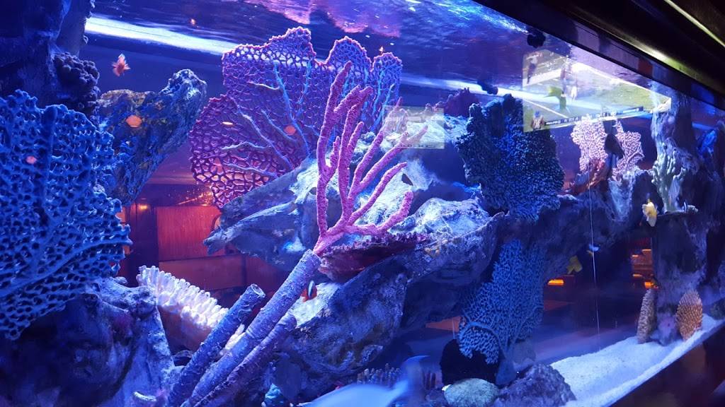 Shogun Legends | restaurant | 1969 NJ-34, Wall Township, NJ 07719, USA | 7324496696 OR +1 732-449-6696