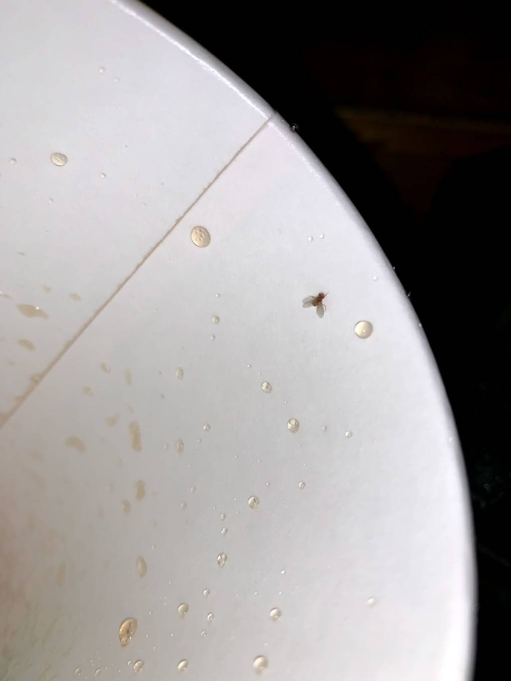 Subway | meal takeaway | 9335 Martin Way E, Olympia, WA 98516, USA | 3604591664 OR +1 360-459-1664