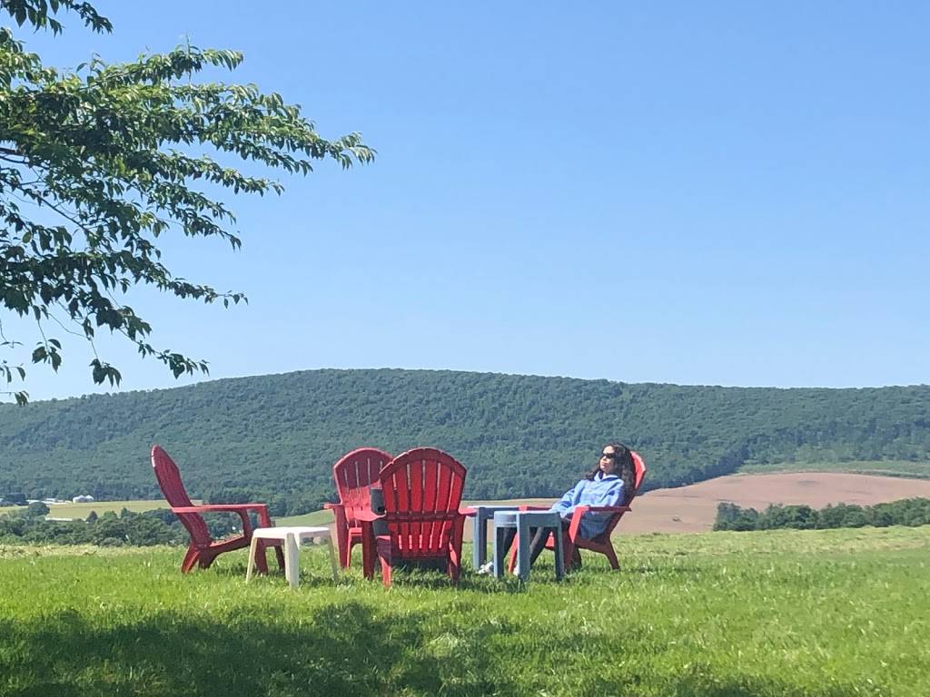 Jacks Spot | restaurant | 1071 Vista Rd, Pitman, PA 17964, USA | 5706442120 OR +1 570-644-2120